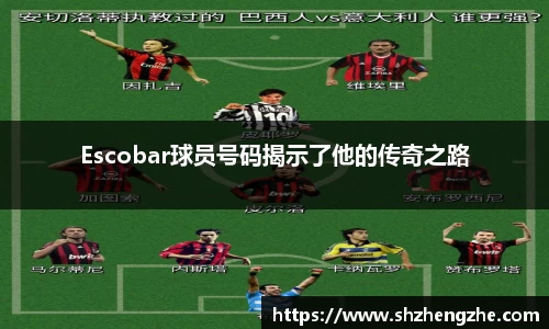 BB贝博